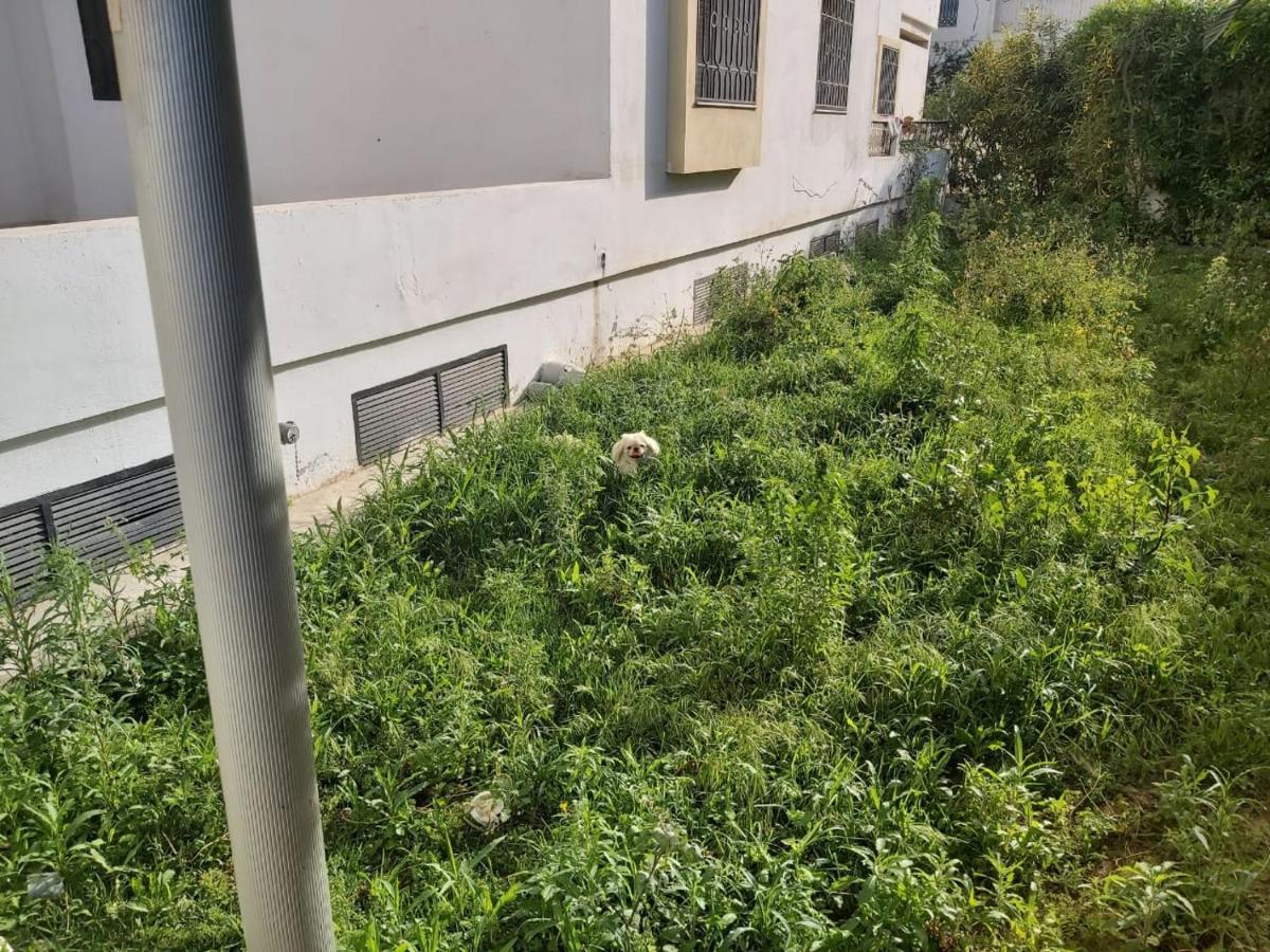 Ideal Appart Ain Zaghouan Tunis El Aouina 외부 사진